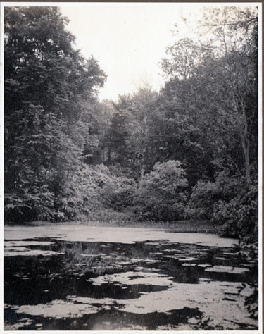 Reading Room Minute 1947