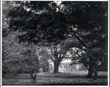 Red Lion Bonvilston